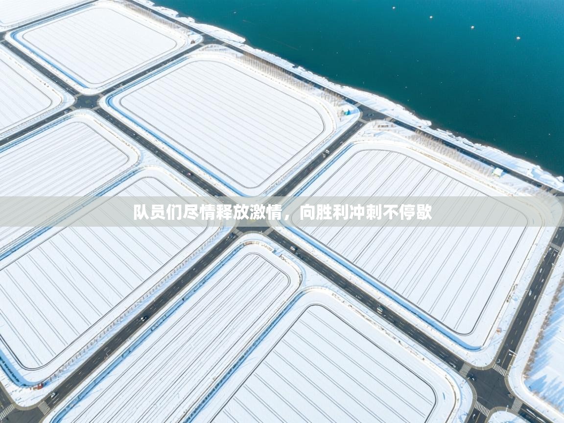 开云登录-队员们尽情释放激情,向胜利冲刺不停歇 第2张