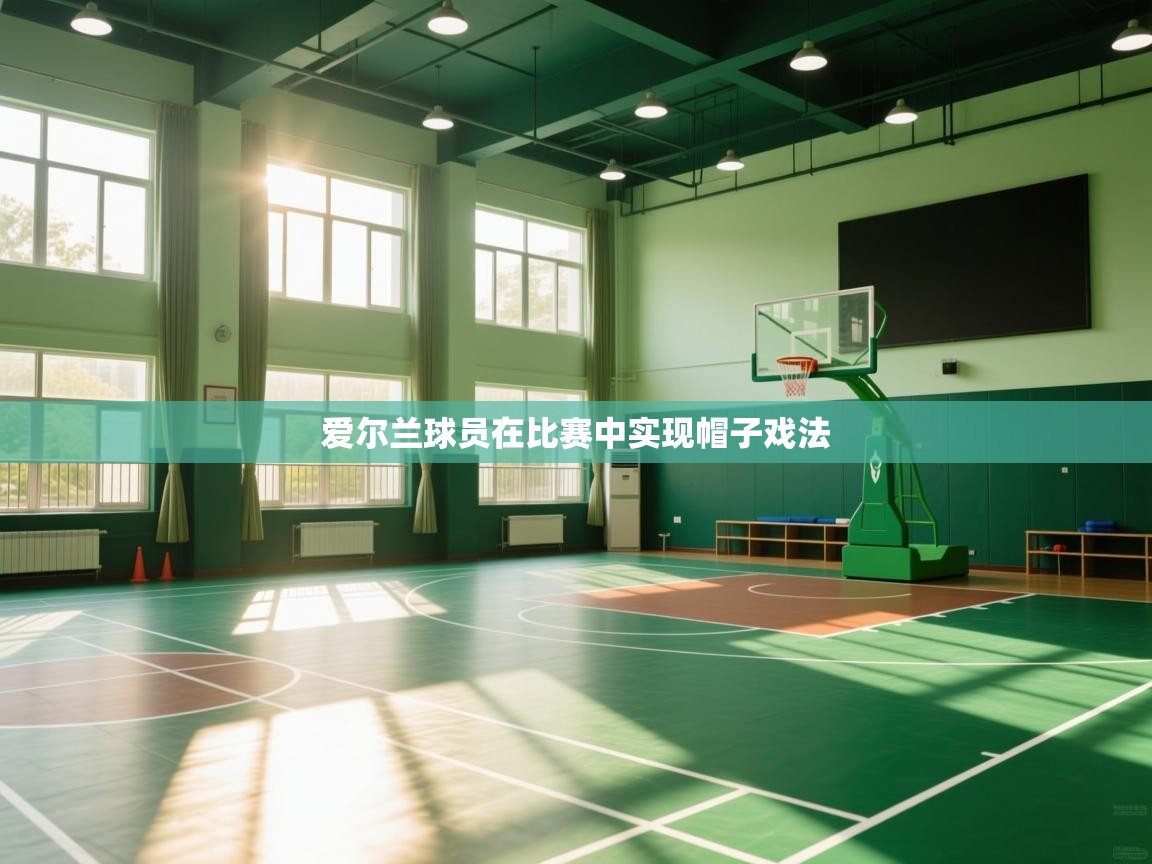 开云客服-爱尔兰球员在比赛中实现帽子戏法 第3张