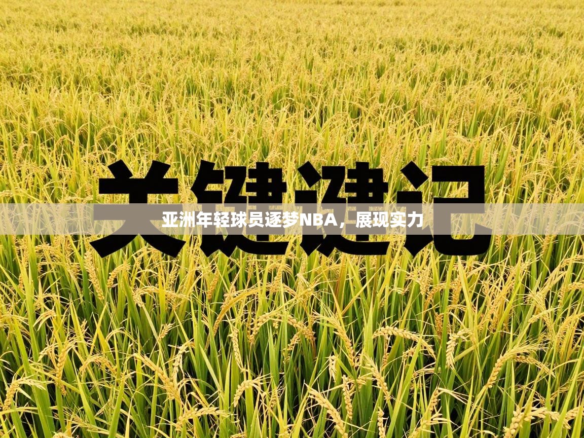 云开体育官网入口-亚洲年轻球员逐梦NBA，展现实力  第1张