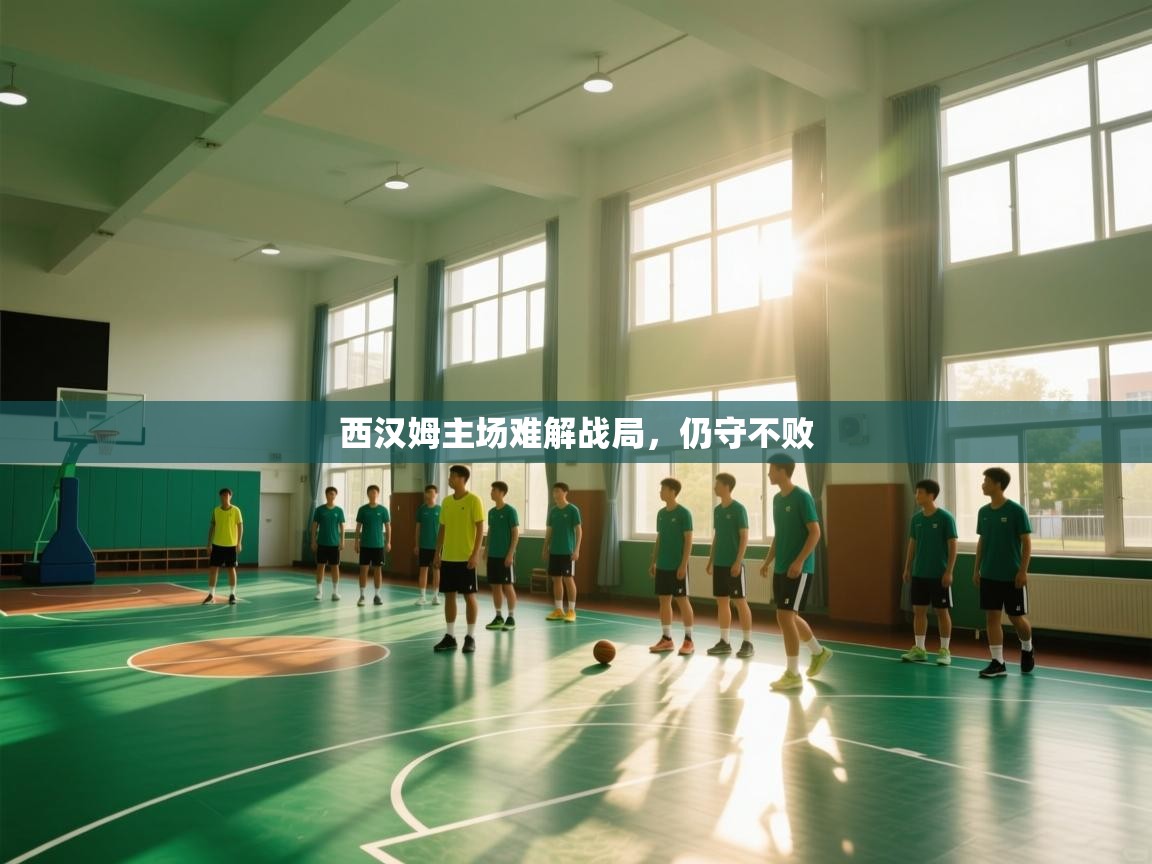 开云体育无法登录解决方案-西汉姆主场难解战局，仍守不败  第4张